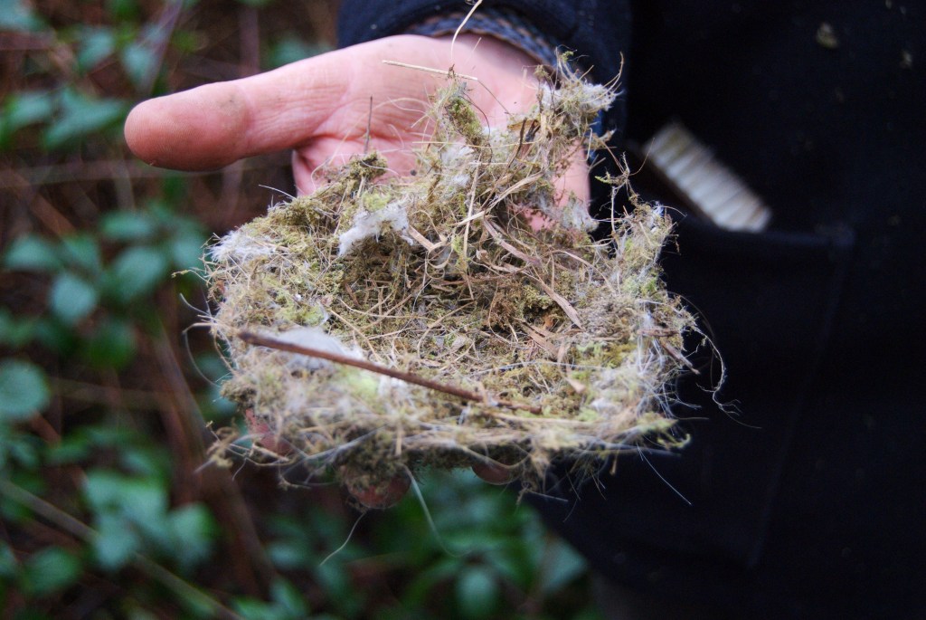 OTH bird box check 1